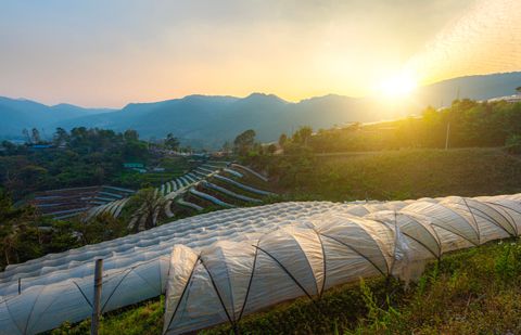 Solar Dryer Systems Guide: Explore Types, Benefits, Applications, and Essential Tips